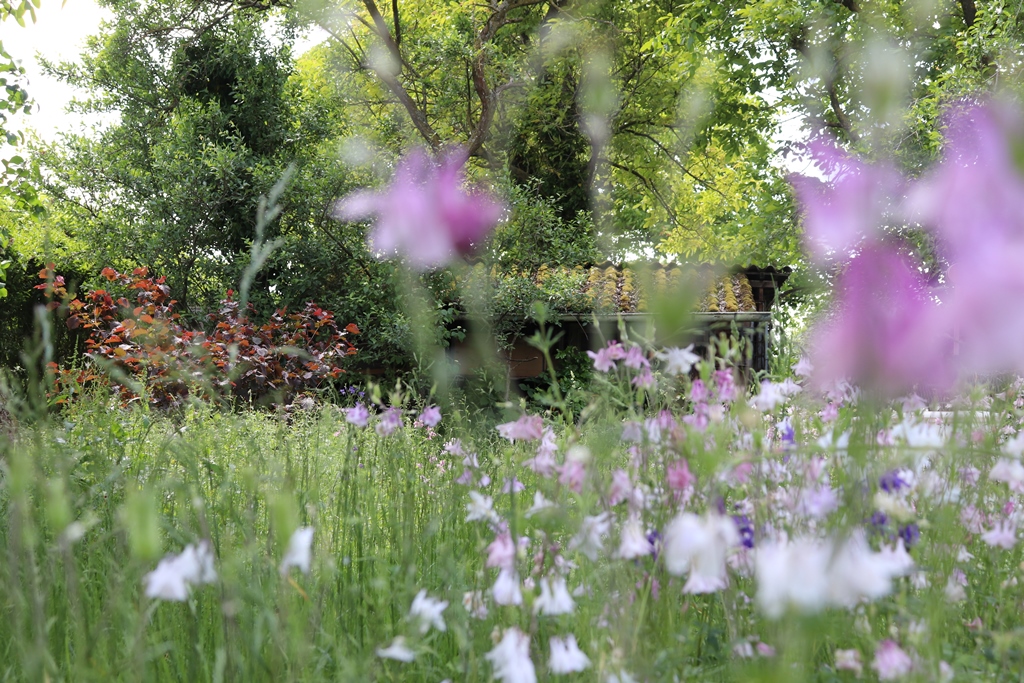 Gartengrundstück Gerlingen, Kälberer Immobilien, Immobilienmakler Stuttgart Weilimdorf