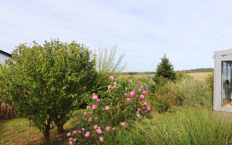 Freistehendes Einfamilienhaus in 74744 Ahorn, Aussicht vom Garten