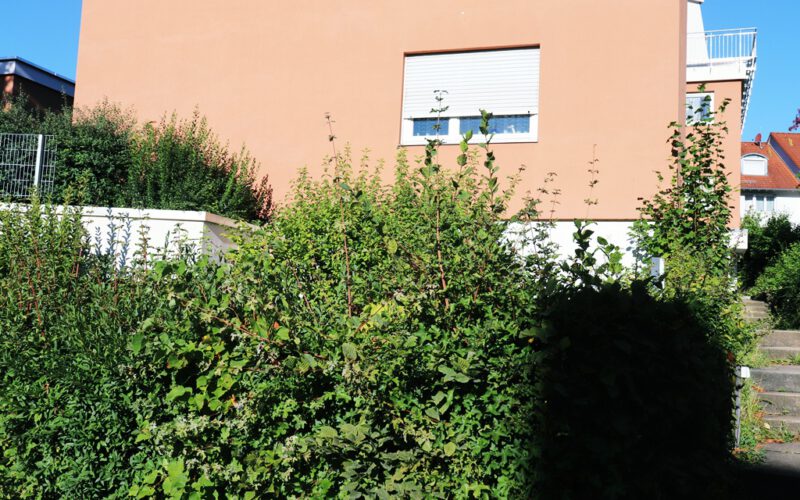 Foto Hausansicht 3,5Zimmer Eigentumswohnung in 70469 Stuttgart zum Kauf